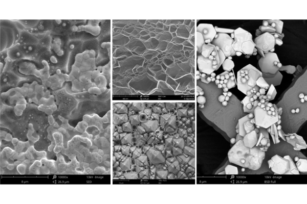 Phenom Pharos G2 Desktop SEM Equipo - Paralab Bio distribuye equipo de SEM en España
