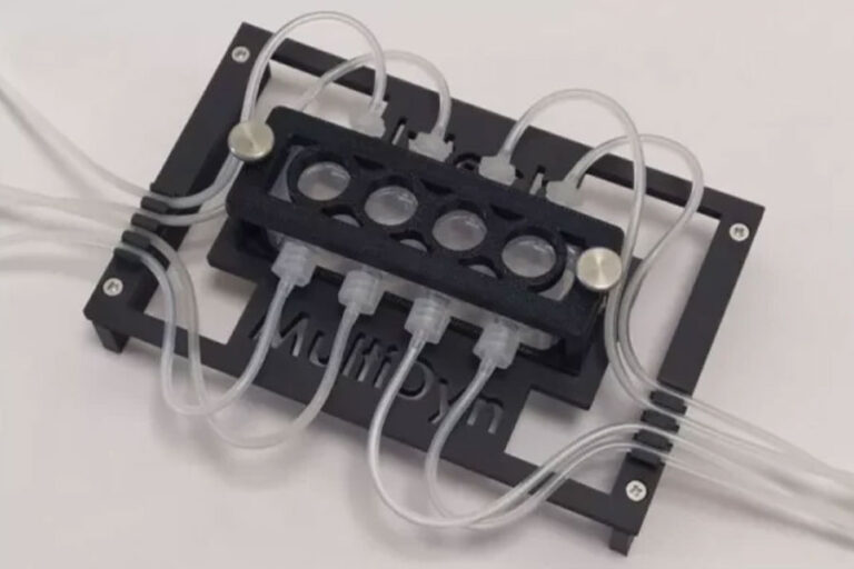 Biorreactores Equipo - Paralab Bio distribuye equipos de biorreactores en España