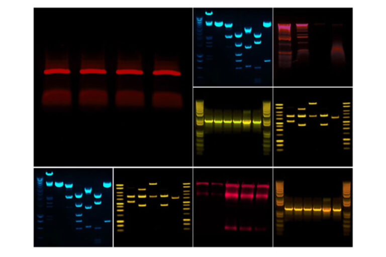 Fusion Solo S Equipo - Paralab Bio distribuye equipos de biología molecular en España