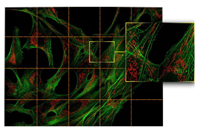 MI-SIM Equipo - Paralab Bio distribuye equipos de microscopía en España
