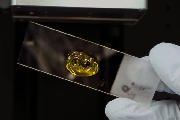 Plantilla con bioimpresión 3D Carimatec Zenessis para la oreja